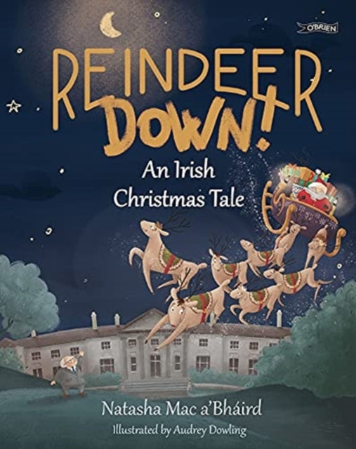 Reindeer Down!: An Irish Christmas Tale