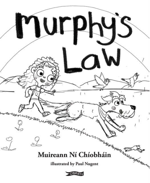 Murphy's Law