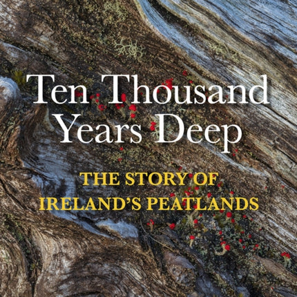 Ten Thousand Years Deep