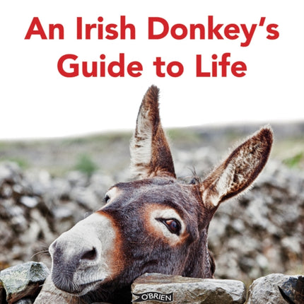An Irish Donkeys Guide to Life