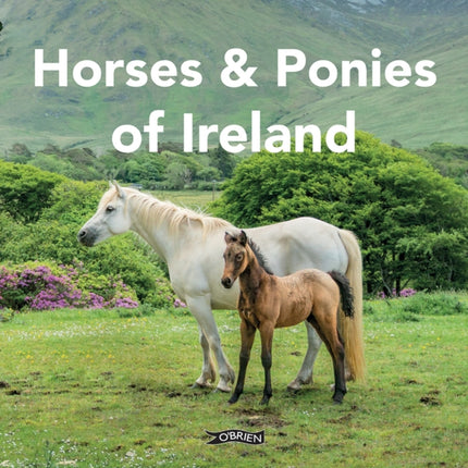 Horses and Ponies of Ireland