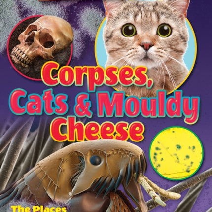 Corpses, Cats and Mouldy Cheese