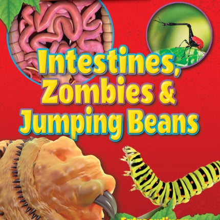 Intestines, Zombies and Jumping Beans: 2018