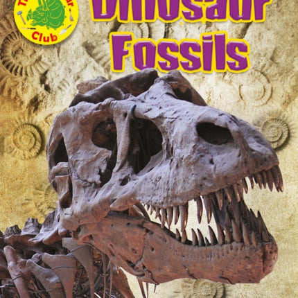 Dinosaur Fossils