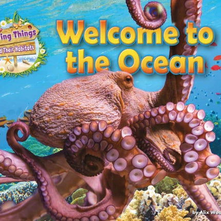 Welcome to the Ocean