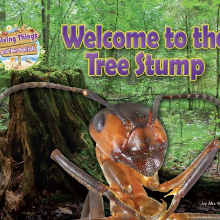 Welcome to the Tree Stump