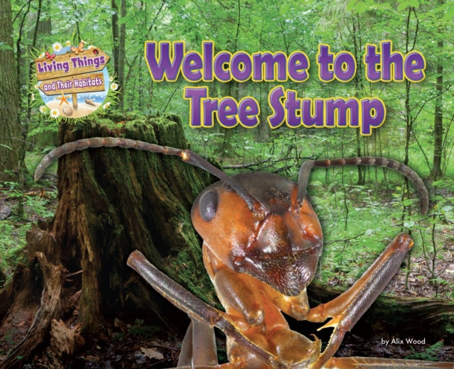 Welcome to the Tree Stump