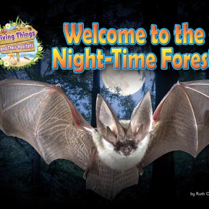 Welcome to the Night-Time Forest