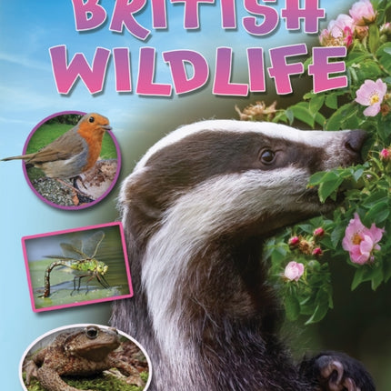 Let's Explore Nature and British Wildlife