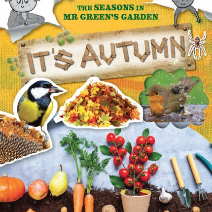 The Seasons In Mr Green's Garden: It's Autumn