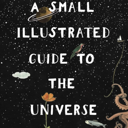 A Small Illustrated Guide to the Universe: From the New York Times bestselling author