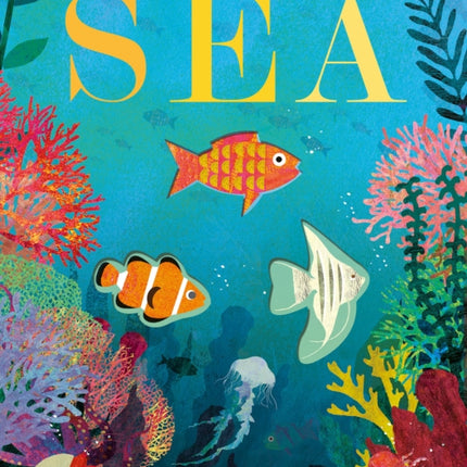 Sea: A World Beneath the Waves