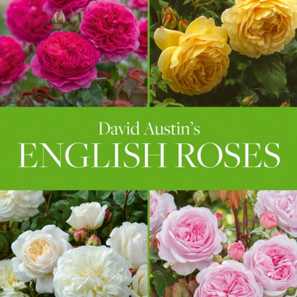 David Austin's English Roses