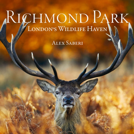 Richmond Park: London's Wildlife Haven