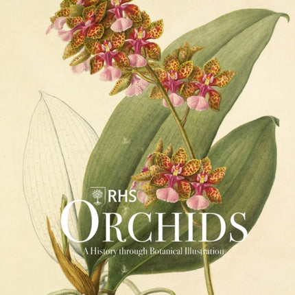 RHS Orchids