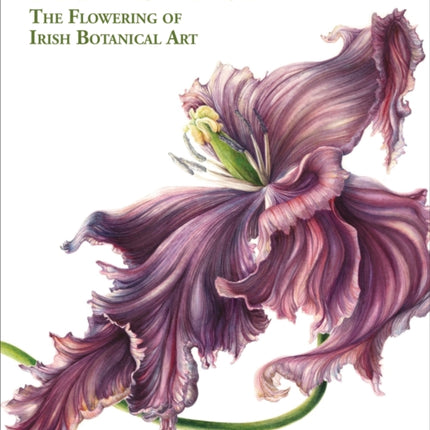 Drawn From Nature: The Flowering of Irish Botanical Art