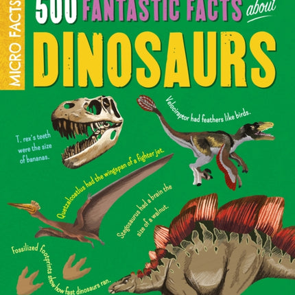 Micro Facts!: 500 Fantastic Facts About Dinosaurs