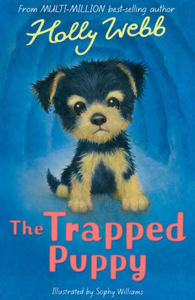 The Trapped Puppy