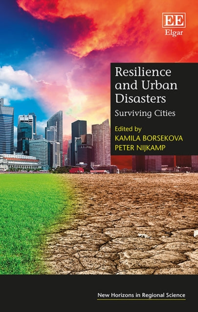 Resilience and Urban Disasters: Surviving Cities