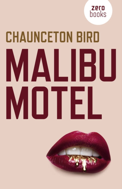 Malibu Motel: A novel about the colossal cost of free cash