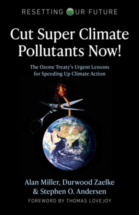 Resetting Our Future: Cut Super Climate Pollutants Now!: The Ozone Treaty's Urgent Lessons for Speeding Up Climate Action