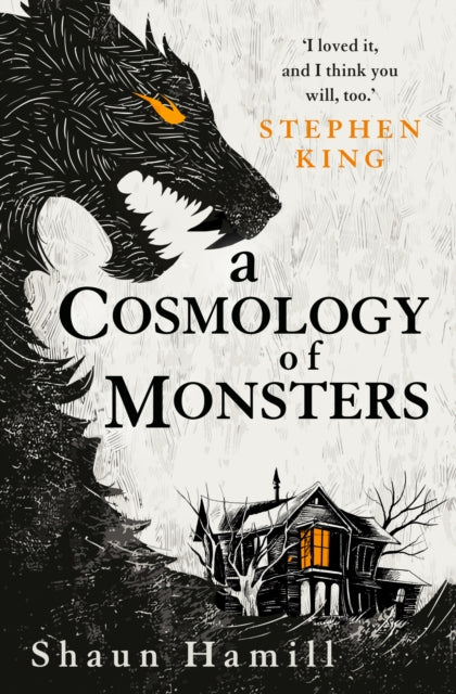 A Cosmology of Monsters