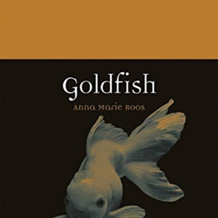 Goldfish