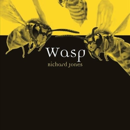 Wasp