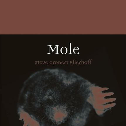 Mole