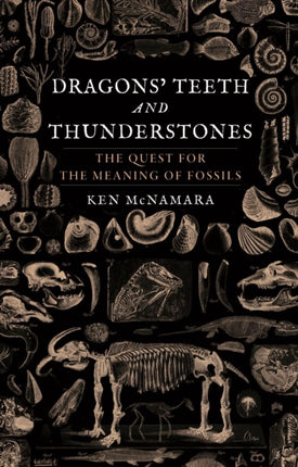 Dragons' Teeth and Thunderstones: The Quest for the Meaning of Fossils