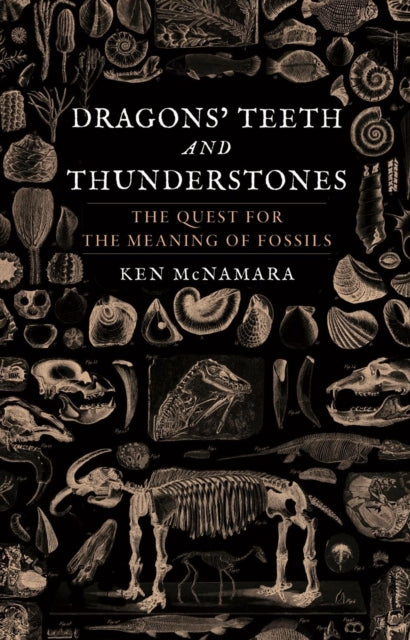 Dragons' Teeth and Thunderstones: The Quest for the Meaning of Fossils