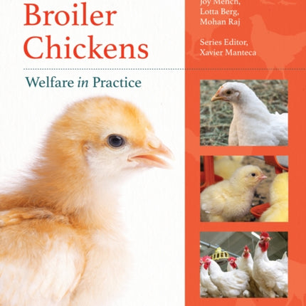 Broiler Chickens Welfare in Practice