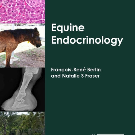 Equine Endocrinology