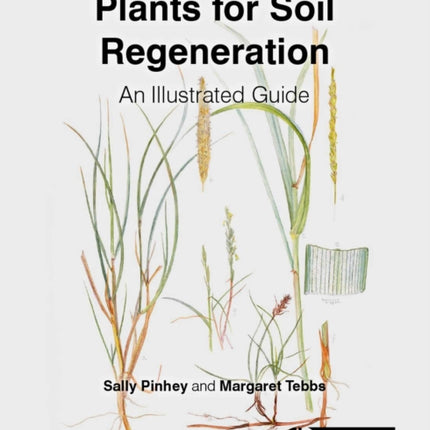 Plants for Soil Regeneration: An Illustrated Guide