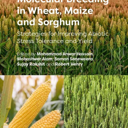 Molecular Breeding in Wheat, Maize and Sorghum: Strategies for Improving Abiotic Stress Tolerance and Yield