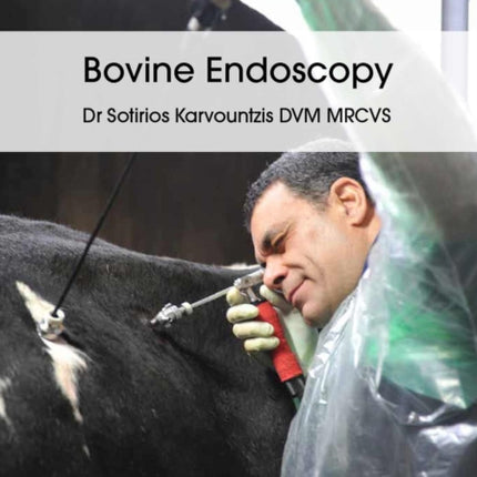 Bovine Endoscopy