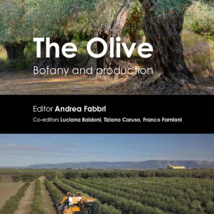 The Olive: Botany and Production