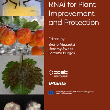 RNAi for Plant Improvement and Protection