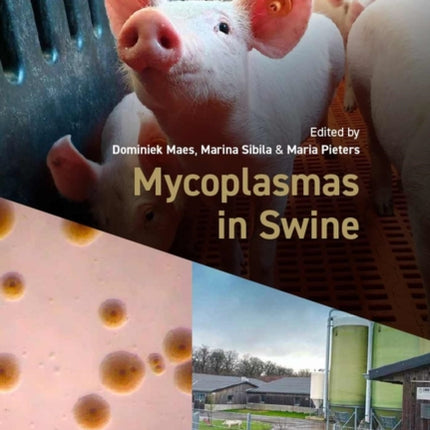 Mycoplasmas in Swine