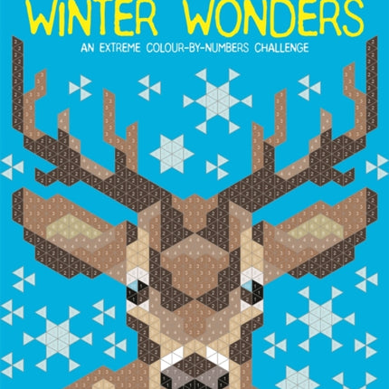 Colour Quest®: Winter Wonders: An Extreme Colour by Numbers Challenge