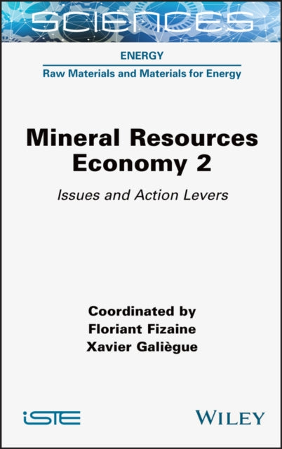 Mineral Resource Economy 2: Issues and Action Levers