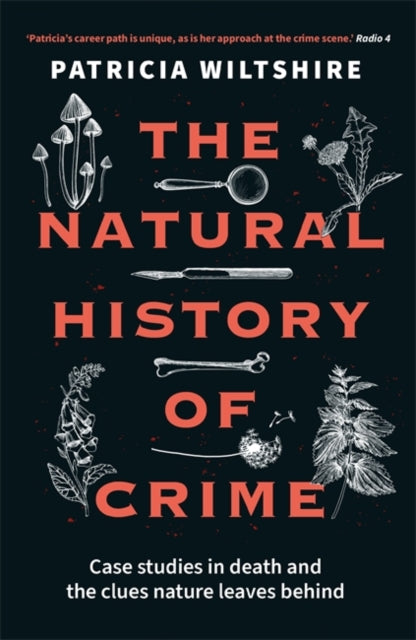 The Natural History of Crime