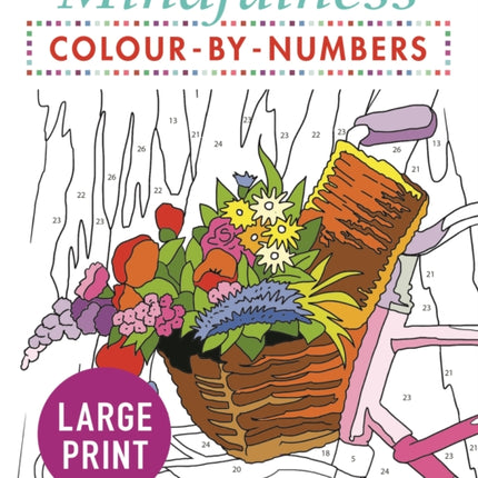 Mindfulness Colour-by-Numbers Large Print