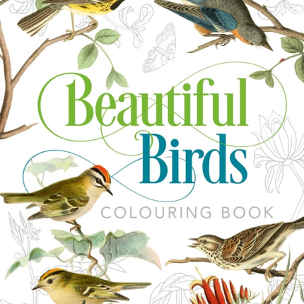 Beautiful Birds Colouring Book