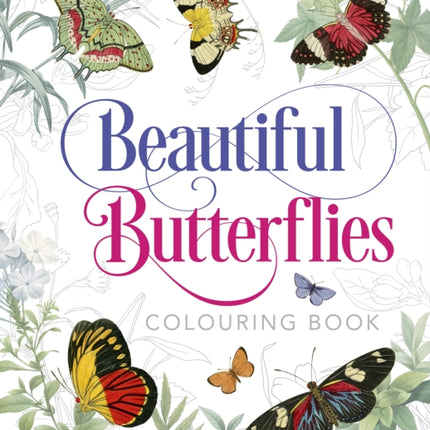 Beautiful Butterflies Colouring Book