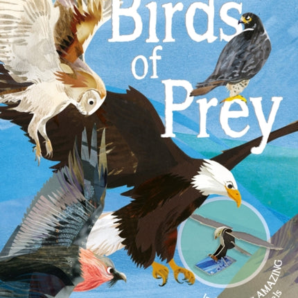 Make Your Own Birds of Prey: Includes Four Amazing Press-out Models