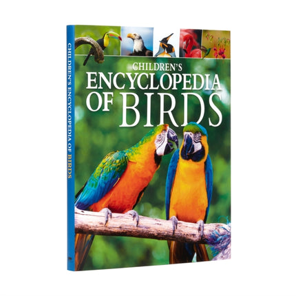 Children's Encyclopedia of Birds