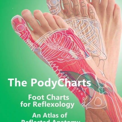 The PodyCharts foot charts for reflexology: An atlas of reflected anatomy
