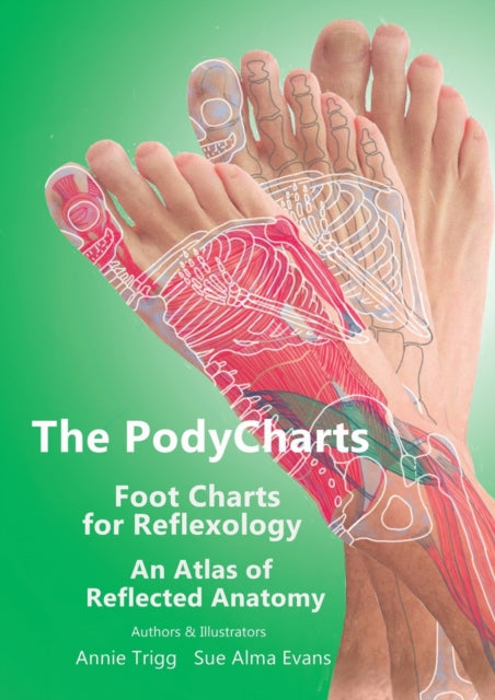The PodyCharts foot charts for reflexology: An atlas of reflected anatomy