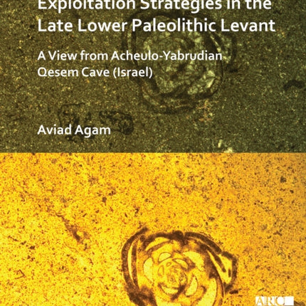 Flint Procurement and Exploitation Strategies in the Late Lower Paleolithic Levant: A View from Acheulo-Yabrudian Qesem Cave (Israel)